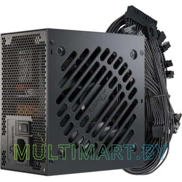 Блок питания Seasonic Core V2 BC-850 (SRP-CBC851-A5A51JF)